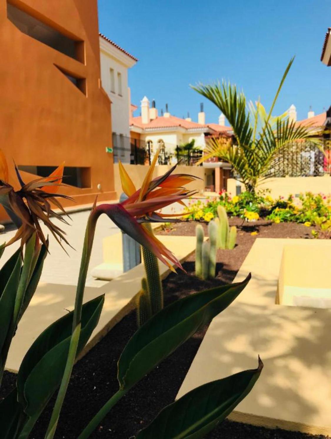 Selena Luxury Monte Carrera Apartment La Playa de Arguineguín Екстериор снимка